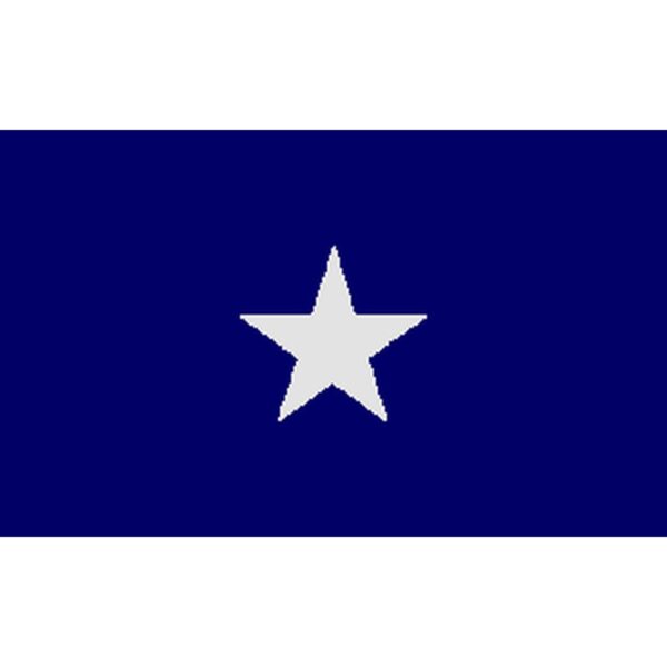 Bonnie Blue Flag