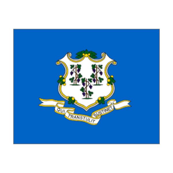 Connecticut Polyester Flag
