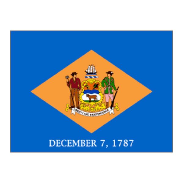 Delaware Polyester Flag