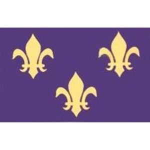 Fleur De Lis Blue & Gold
