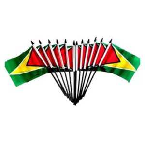 Guyana Miniature Flags – 12 Pack