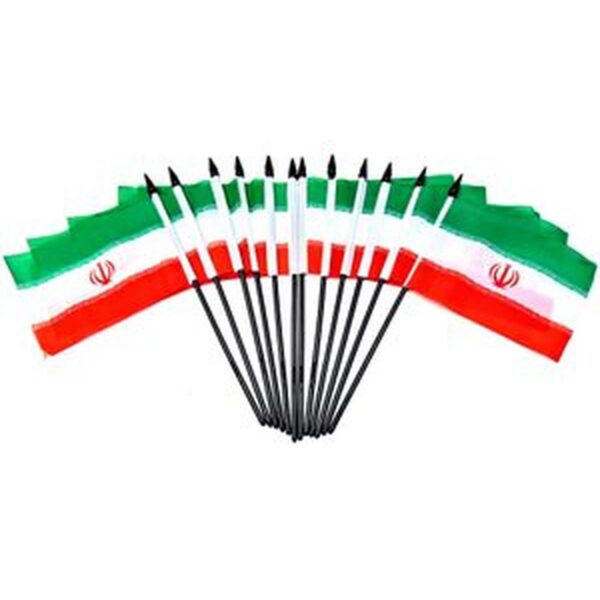 Iran Miniature Flags - 12 Pack