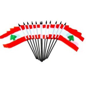 Lebanon Miniature Flags – 12 Pack