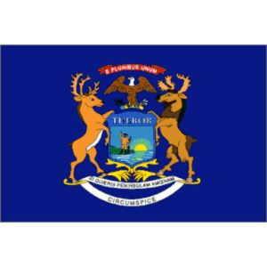 Michigan Polyester Flag