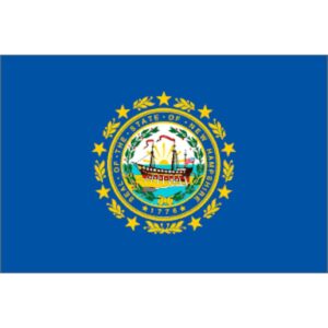 New Hampshire Polyester Flag