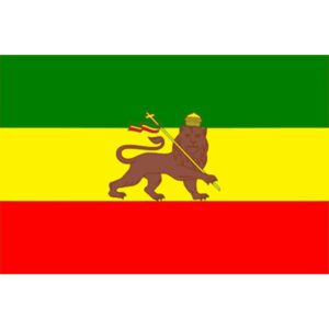 Old Ethiopia With Lion
