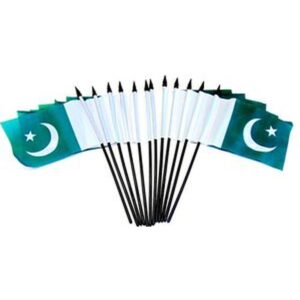 Pakistan Miniature Flags – 12 Pack