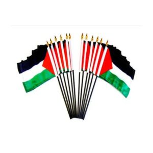 Palestine Miniature Flags – 12 Pack