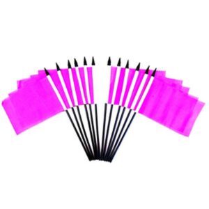 Pink Miniature Flags – 12 Pack